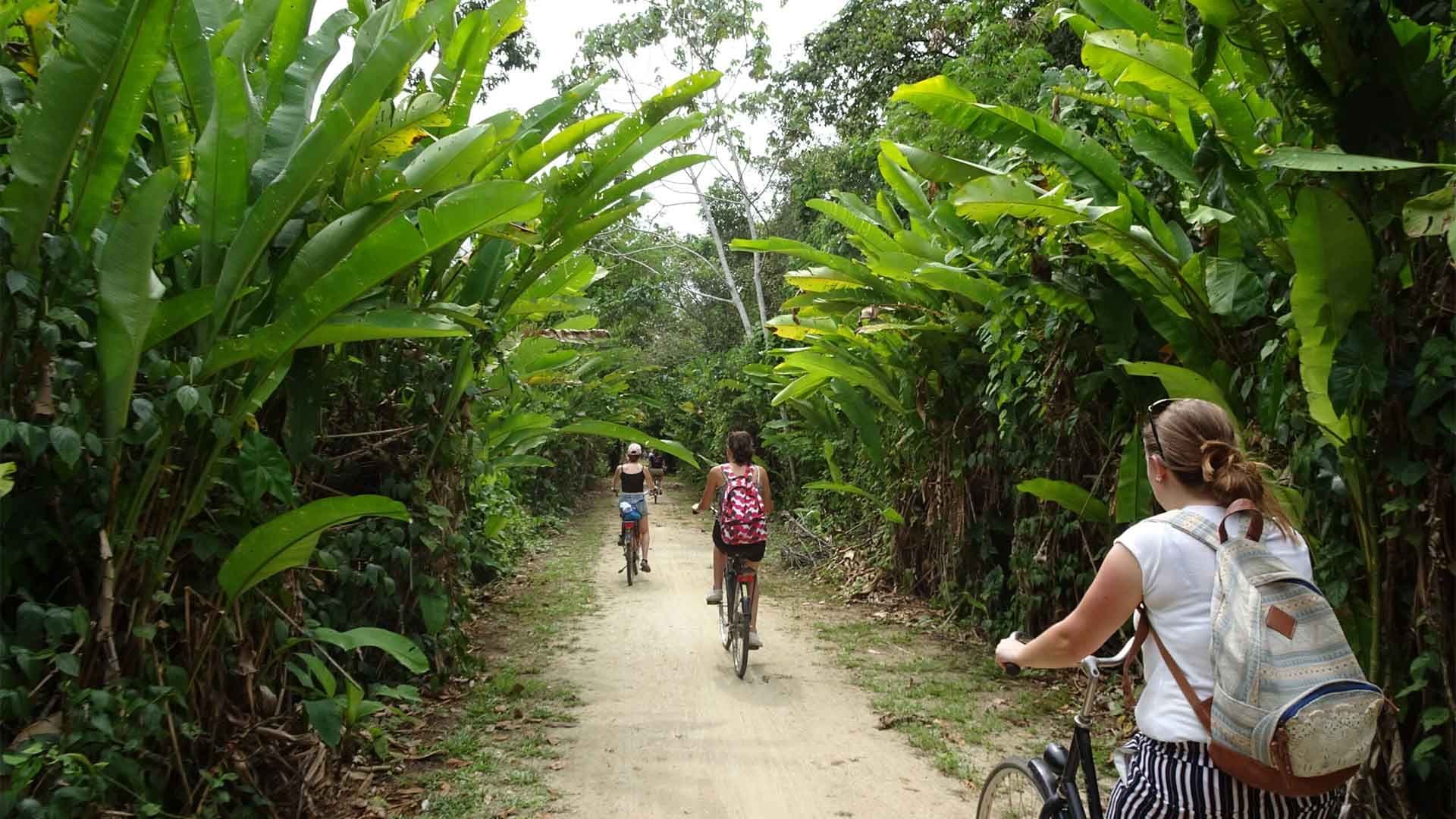 Best Day Trips in Suriname 2026