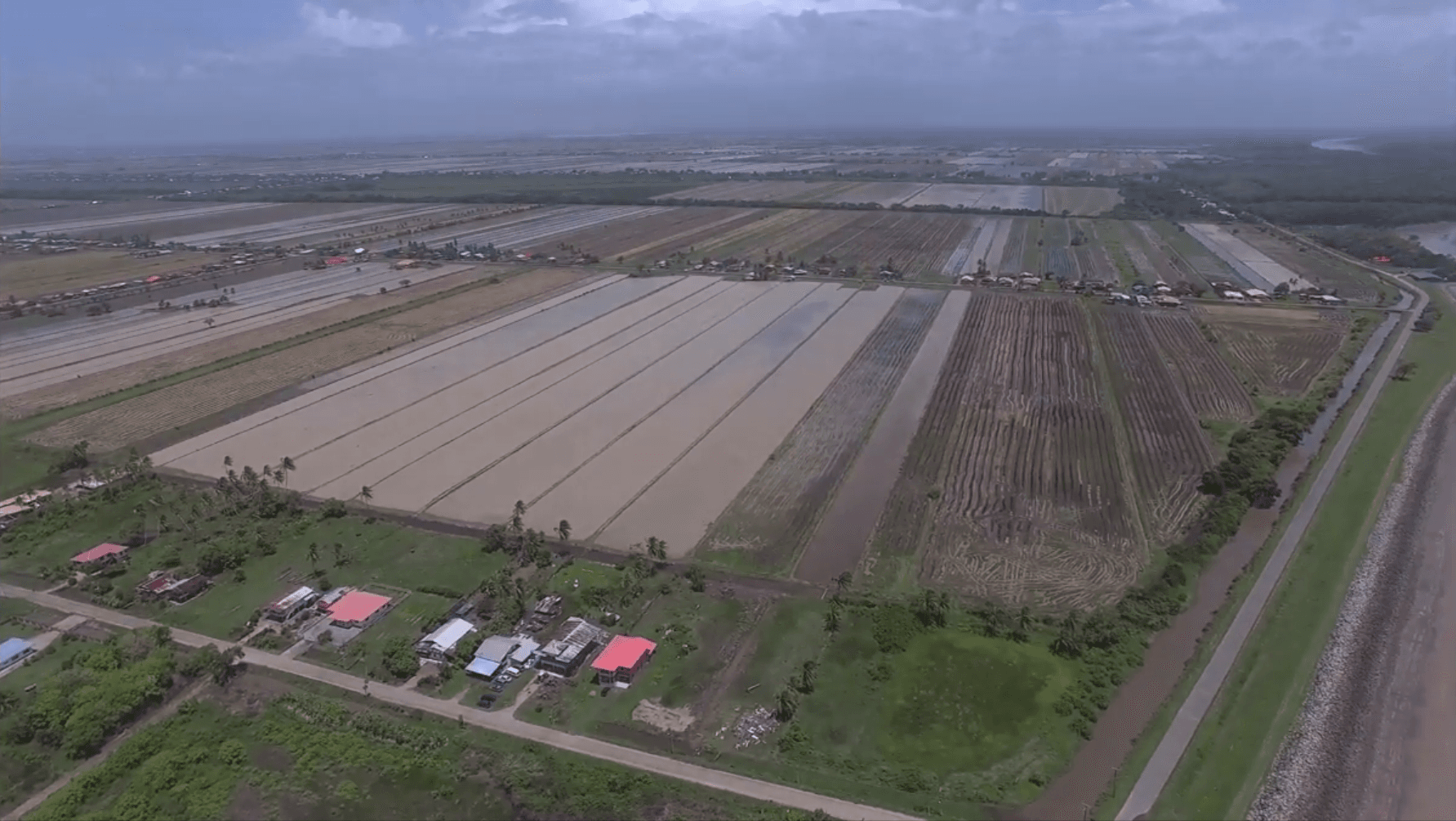 See the Rice Polders