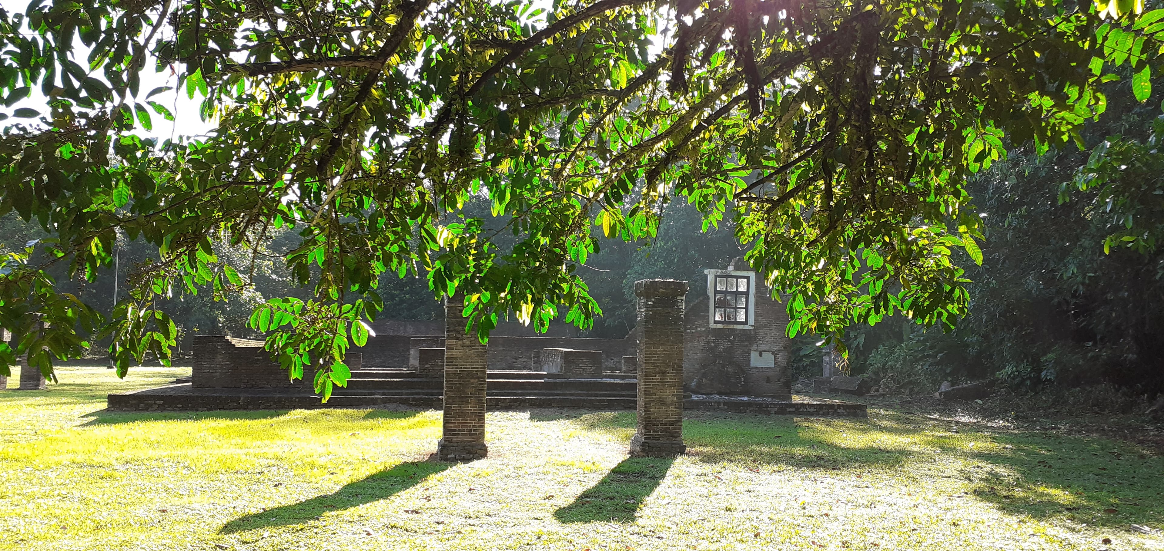 See the Ruins of Jodensavanne