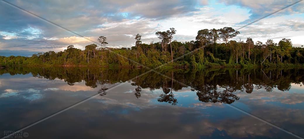 Palumeu Jungle Lodge