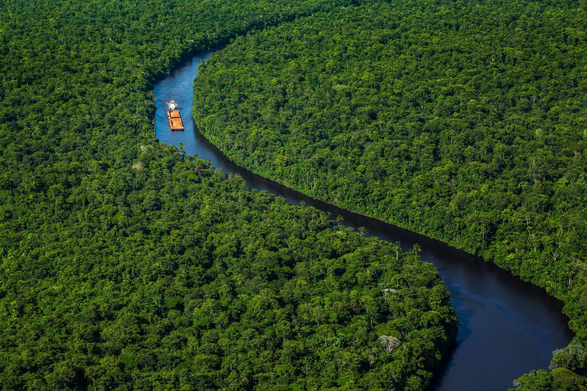 Aerial view of Suriname's rainforest