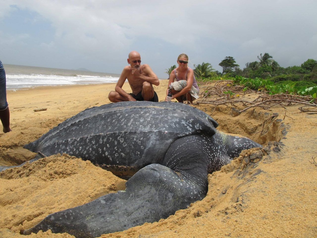 https://suriname-tour.com/braamspunt-nachttour/